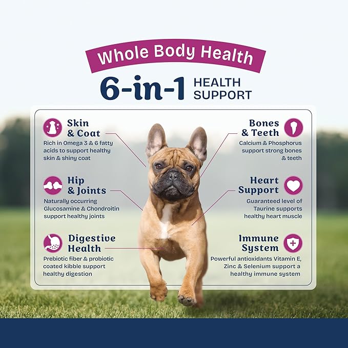 Natural Balance Health Protection Small Breed Dry Dog Food – Whole Body Health, Easy on Digestion Dog Food Made with Chicken, Brown Rice & Pumpkin for Dogs - 12lbs.