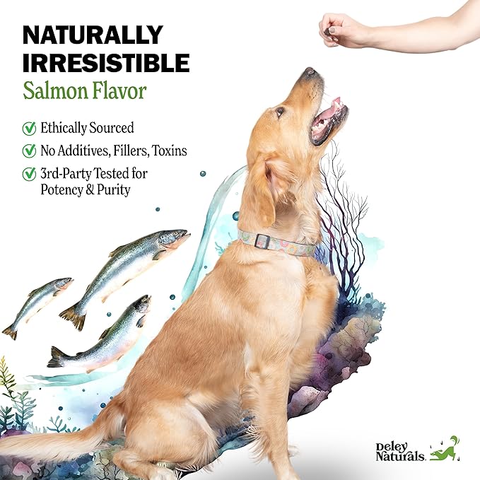 Deley Naturals Skin & Coat Chews - Dog Allergy Chews with Omega 3 Fish Oil, Biotin, Collagen and Essential Vitamins - Supports Dog Itching Skin Relief, Reduces Dryness and Healthy Coat - 90 Chews