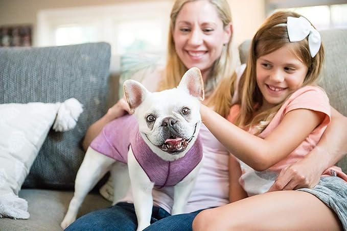 Goldpaw Dog Sun Shirt with UV Protection - Lightweight, Cooling Sun Protection Clothing for Dogs - Reduce Heat Absorption - Pet Clothes Made in The USA - Machine Washable - Violet - Size 12