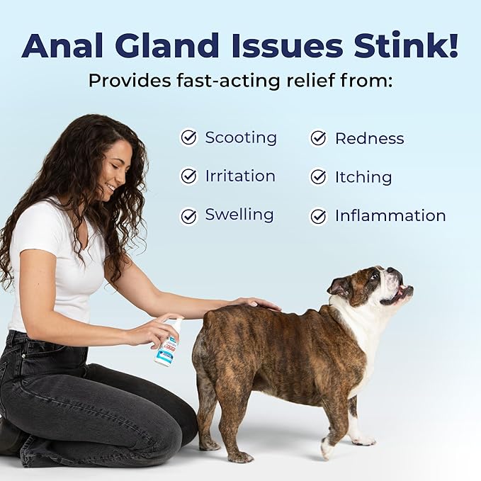 Vetnique Glandex Medicated Dog Butt Wipes or Spray for Dog Scooting - Topical Anti Itch Skin Relief for Soothing Inflamed Anal Glands in Dogs & Cats - Fast Acting Formula (4oz Spray)
