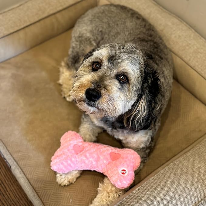 SPOT Soothers Warm Hug Bone - Calming Plush Dog Toy with Lavender Scented Beads, Removable Squeaker, Microwavable Warming Pouch, Separation Anxiety Relief, for Small to Medium Dogs and Puppies, 9in
