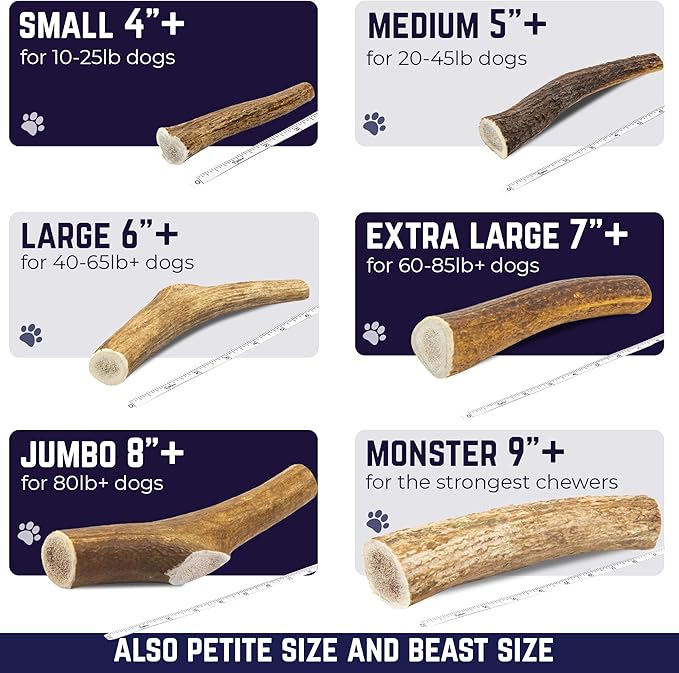 Devil Dog Pet Co - Elk Antler for Dogs Small 2 Pack - Long Lasting Dog Chew for Aggressive Chewers & Toy Breeds - Naturally Shed Grade A Rocky Mountain Elk, Anxiety & Boredom Relief (Up to 20 lbs)