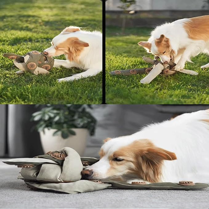 Durable Dog Puzzle Toy, Interactive Enrichment Treat Dispensing Toy for Dogs, Mentally Stimulating Brain Game for Power Chewers, Machine Washable & Eco-Friendly, 31.5in Star Shaped Dog Chew Toy