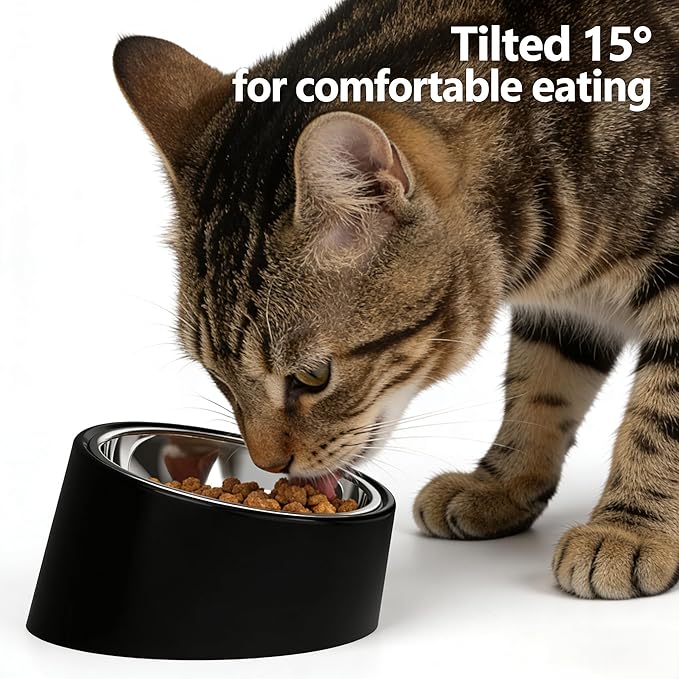 15° Tilted Elevated Dog Bowl, Non-Slip No-Spill Stainless Steel Pet Feeder, Detachable 2-in-1 Food & Water Dish for Medium Dogs (Like French Bulldog) and Cats, Anti-Choke, Black (Size M)