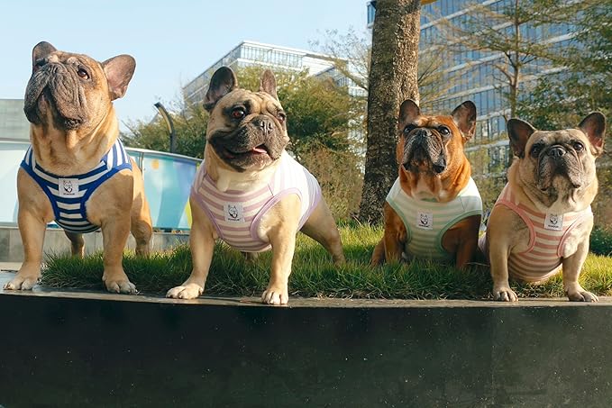 iChoue French Bulldog 100% Breathable Cotton Striped T Shirts Halloween Vest Clothes for Medium Dogs Tank Tops Frenchie Pug English Boston Terrier Pitbull Pink White Stripes - Large Plus
