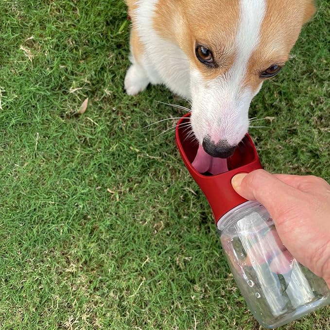 WePet Portable Dog Water Bottle with Food Container, 12 OZ + 6 OZ, Leak Proof Puppy Water Dispenser with Drinking Feeder for Pets Outdoor Walking, Hiking, Travel, Food Grade Plastic