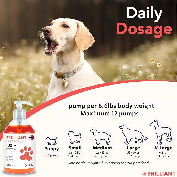 Brilliant Norwegian Salmon Oil for Dogs, Cats, Horse, Ferret - Pure Omega 3, 6 & 9 Fish Oil Food Treats Supplement for Natural Coat, Immune Support, Itchy Skin, Joint & Brain Health - 40 Oz