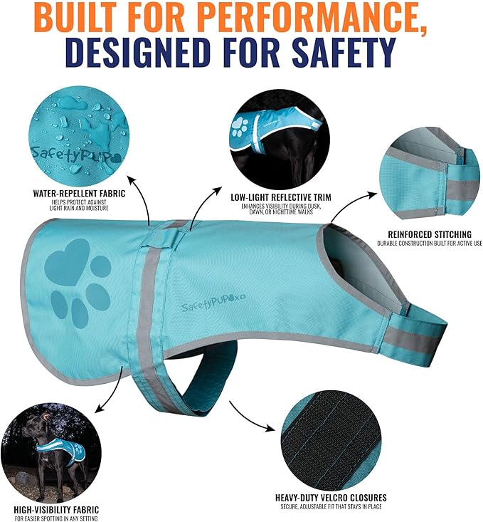 SafetyPUP XD Dog Reflective Vest – Hi-Vis Fluorescent Visibility That Helps to Safeguard Your Pet On/Off Leash in Urban & Rural Areas (Teal, Small)
