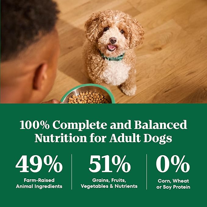 Nutro Natural Choice Small Breed Dog Food Dry, Chicken & Brown Rice Recipe, 13 lb. Bag