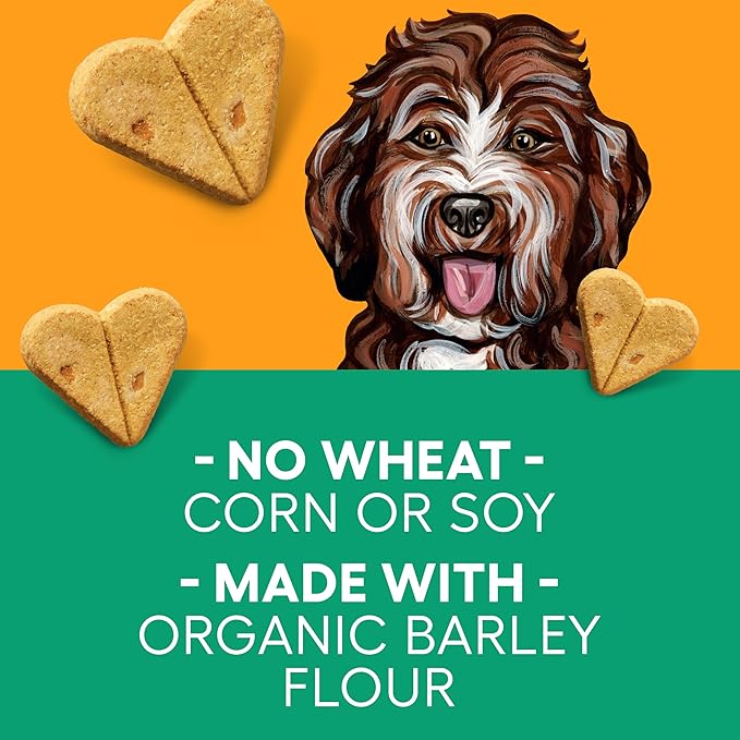 Newman's Own Peanut Butter Dog Biscuits, 10 oz Bag (Pack of 6) — Oven Baked Crunchy Training Treats, Organic Ingredients, No Wheat Corn or Soy, Premium Quality Wholesome Dog Cookies