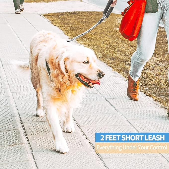 BAAPET 2/4/5/6 FT Dog Leash with Comfortable Padded Handle and Highly Reflective Threads for Small Medium and Large Dogs (2FT-1/2'', Silver)