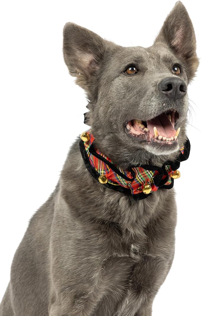 Huxley & Kent Ruff Pet Scrunchy | Shiny Christmas Plaid (Large) | Festive Christmas/Holiday Neckwear for Dogs/Cats | Fun Stretchable Costume Accessory | Soft Collar with Bells