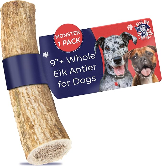 Devil Dog Pet Co - Elk Antler for Dogs Monster 12.5 oz Min - Long Lasting Dog Chew for XL & Giant Breed Power Chewers - Naturally Shed Grade A Rocky Mountain Elk, Anxiety & Boredom Relief (90+ lbs)
