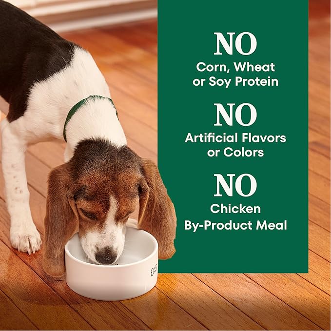 Nutro Natural Choice Large Breed Puppy Food Dry, Chicken & Brown Rice Recipe, 13 lb. Bag