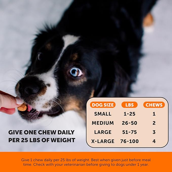 Hemp Hip & Joint Supplement for Dogs - Hemp Oil & Powder - Glucosamine Chondroitin for Dogs, Turmeric, MSM, Green-Lipped Mussel, Supports Mobility, May Reduce Discomfort (Duck)