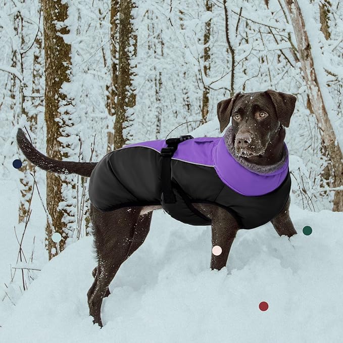 IECOii Extra Warm Dog Coat - Reflective, Adjustable Jacket with Buckle & Fleece Turtleneck for Small to Extra Large Dogs in Cold Weather