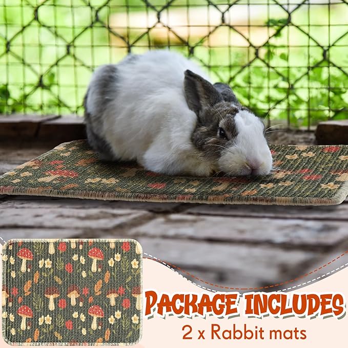 2 Pcs 16 x 12''Rabbit Scratch Mat Natural Bunny Scratching Pad Claws and Teeth Care Rabbit Mats for Cages Chew Toys Bunny Pet Cage Bedding for Biting Sleeping Nesting