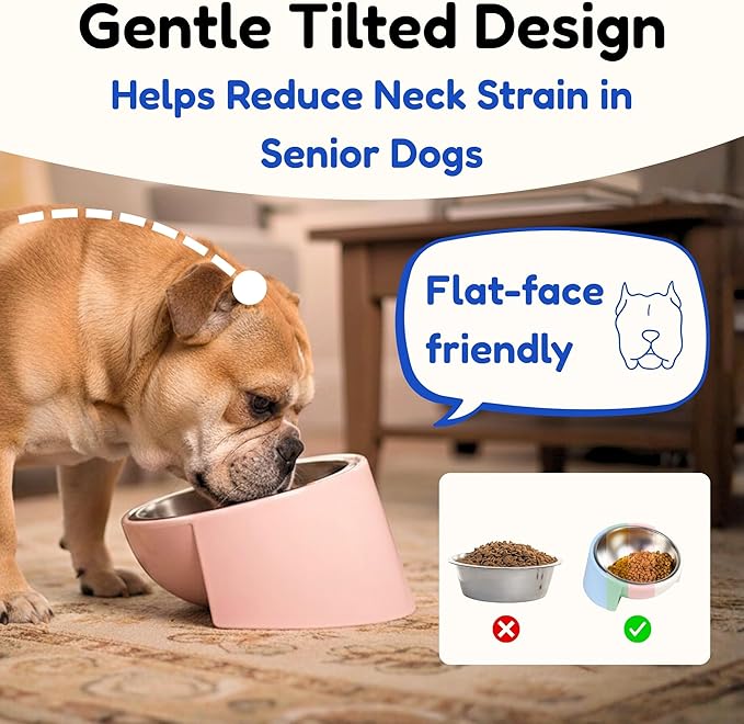 Tilted Dog Bowl for Flat-Faced & Senior Dogs, 15° Slanted Stainless Steel Dog Food Bowl, Elevated Pet Feeder for Small & Medium Dogs, Comfortable Eating Design (Blue, M (420 mL / 1.5 Cups))