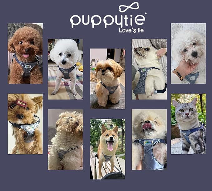 Puppytie No Pull xs Dog Harness with Multifunction Dog Leash,Soft Adjustable No Choke Escape Proof Pet Harness Vest,Glossy Galaxy Blue,XXS