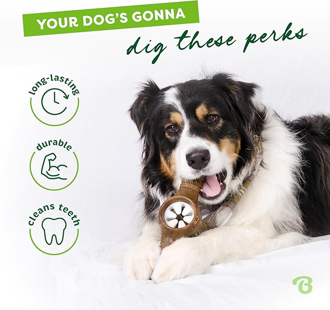 Benebone Pawplexer Interactive Treat Dispensing Tough Dog Puzzle Chew Toy, Made in USA, Large, Real Bacon Flavor