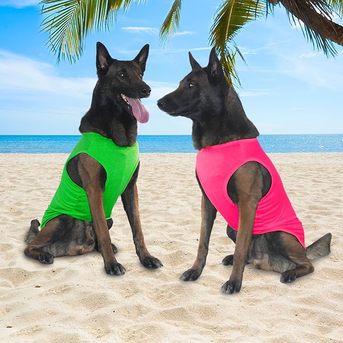 2 Pack Dog Cooling Shirts, Ice Pet Vest Dog Clothes for Instant Cooling, Lightweight Breathable Sleeveless T-Shirts for Large Dogs, Bright Red+Fresh Green (L)