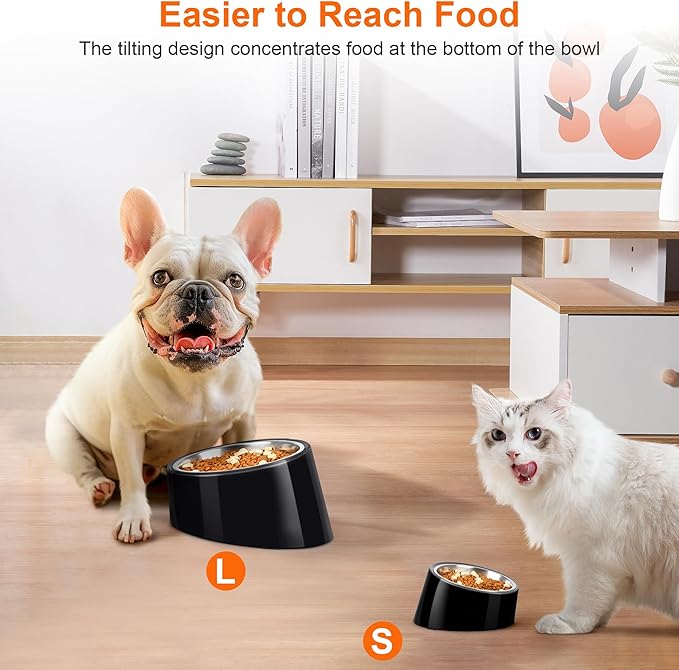 Tilted Dog Bowl Non-Slip & Non-Spill Pet Feeder with Elevated Detachable Melamine Stand, Easy to Get Food Dog Dish, L/300ml Black