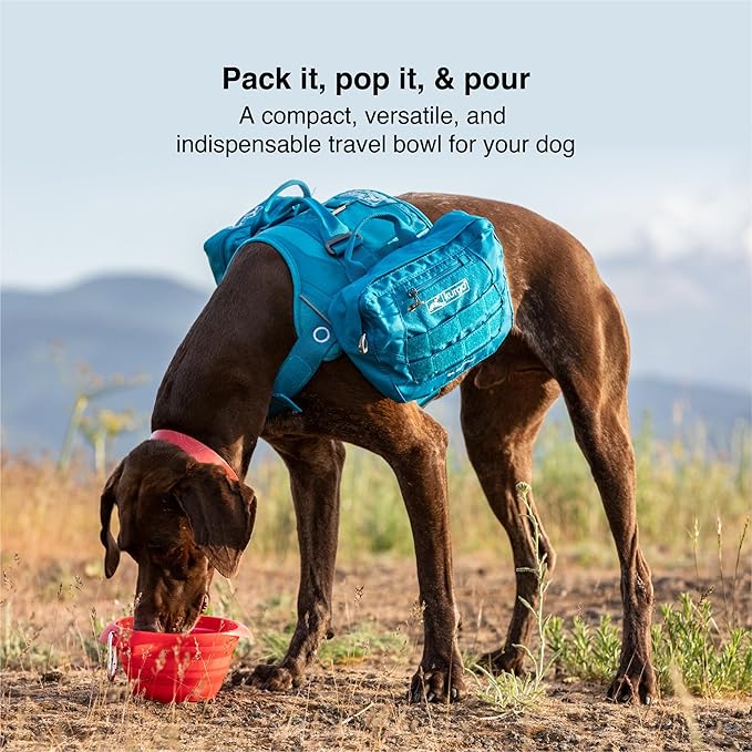 Kurgo Collapsible & Portable Travel Dog Bowl for Food & Water | Portable Water for Dogs | Food Grade Silicone Collapsible Dog Bowl | Pet Travel Accessories | BPA Free | Holdsup to 24 oz | Red