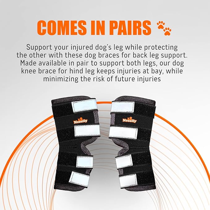 NeoAlly® - Rear Leg Hock Brace, Dog Leg Brace for Rear Leg, Hock & Ankle Support for Large Dogs, Dog Brace for Torn Acl and Ccl, Long Version, Extra Large, 1 Pair
