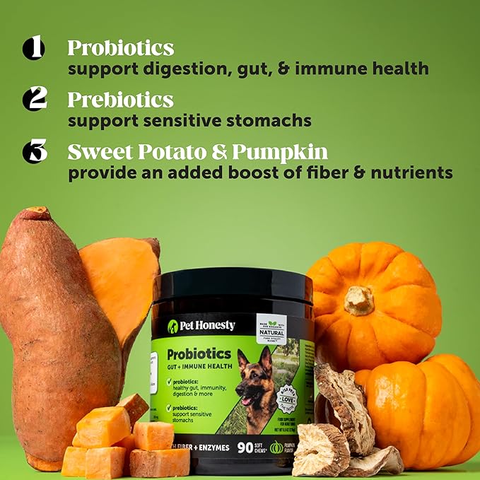Pet Honesty Probiotics for Dogs - Digestive Enzymes Promotes Gut Health, Dog Probiotics for Bowel Support, Fiber for Regularity, Prebiotics for Immune Health & Gut Flora (Pumpkin, 90 ct)