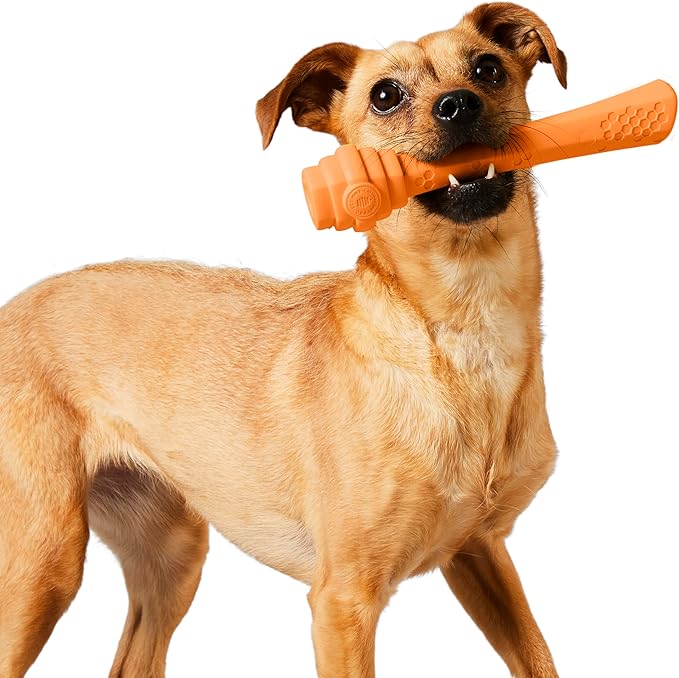 PROJECT HIVE ·PET COMPANY· - Sweet Mango Scented - Hive Dog Fetch Stick for Large Breeds - Dog Stick Toy - Floats in Water - Treat Dispenser Toy - Durable and Tough - Made in The USA