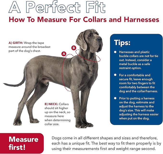 Coastal Pet K9 Explorer Reflective Adjustable Dog Collar - Comfortable Collar for The Outdoors - Durable, Lightweight Accessory with Side-Release Buckle - Orchid, 5/8" x 8-12"