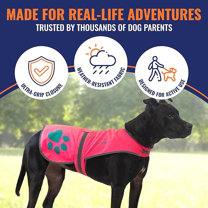 SafetyPUP XD Dog Reflective Vest – Hi-Vis Fluorescent Visibility That Helps to Safeguard Your Pet On/Off Leash in Urban & Rural Areas (Pink, Small)