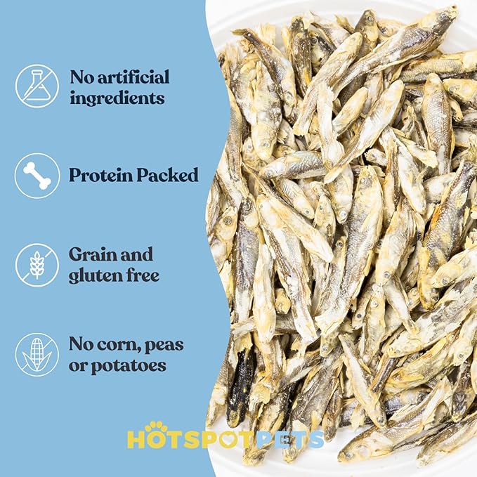 hotspot pets Freeze Dried Minnows Treats for Cats & Dogs (1 Pound Bag Over 400 PCS) (Made in USA) All Natural, High Protein, Rich in Omega-3s, Grain-Free,Perfect for Training, Topper or Snack