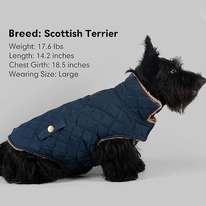 azuza Dog Jacket Waterproof & Windproof Dog Coat for Small Dogs with Thick Fleece, High Collar with Leash Hole, Adjustable Velcro & Elastic Belly, Navy, S