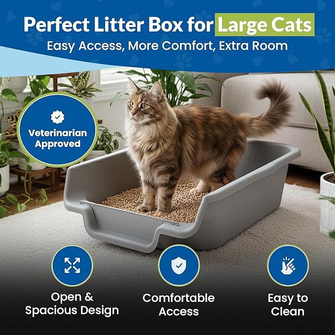 KittyGoHere Senior Cat Litter Box, Jumbo Litter pan with Long-Handle Jumbo Scoop, Open Top Low Entrance Kitty Litter Box, Lightweight Low Entry Litters Box, Durable, Made in USA (2 Pack - Misty Gray)