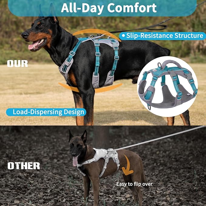 Huntboo Reflective Dog Harness with Handle, Escape Proof, No Slip, Breathable, Lightweight, Adjustable Lift Harness for Small, Medium, and Large Dogs Walking, Training, and Running Gear(Teal Blue,XS)
