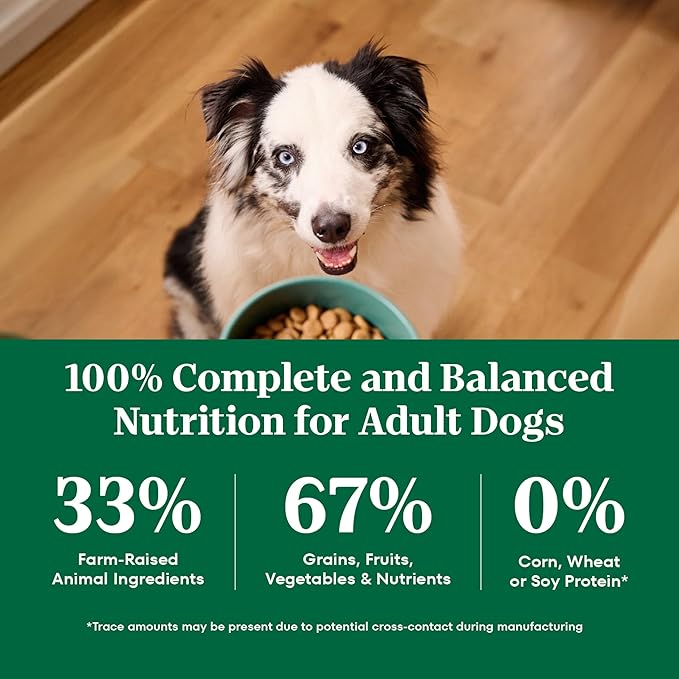 Nutro Natural Choice Chicken & Brown Rice Adult Large Breed Dog Food Dry Recipe, 30 lb. Bag