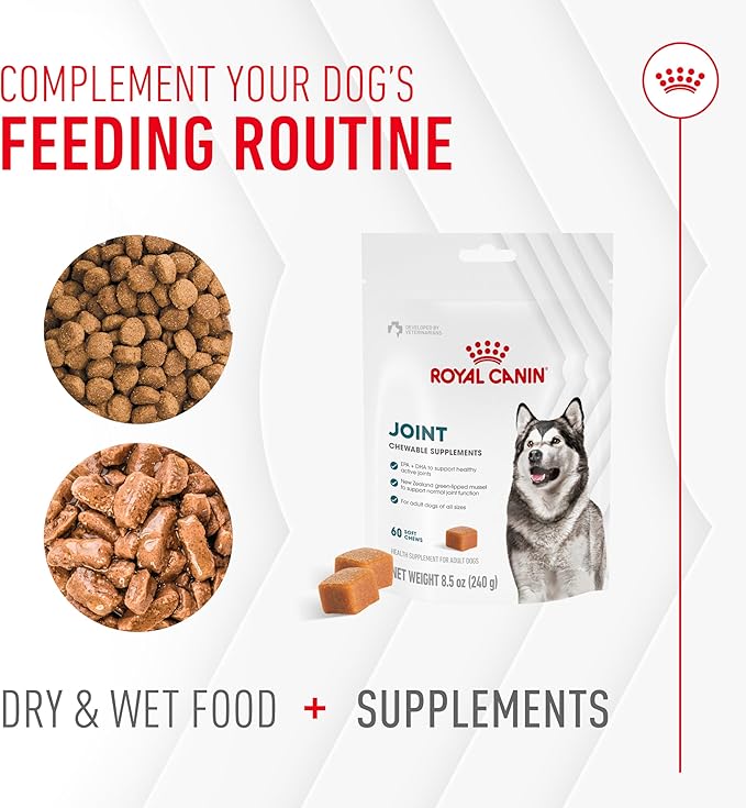 Royal Canin Joint Dog Supplement Soft Chews for Adult Dogs, 60 Count (Pack of 2)