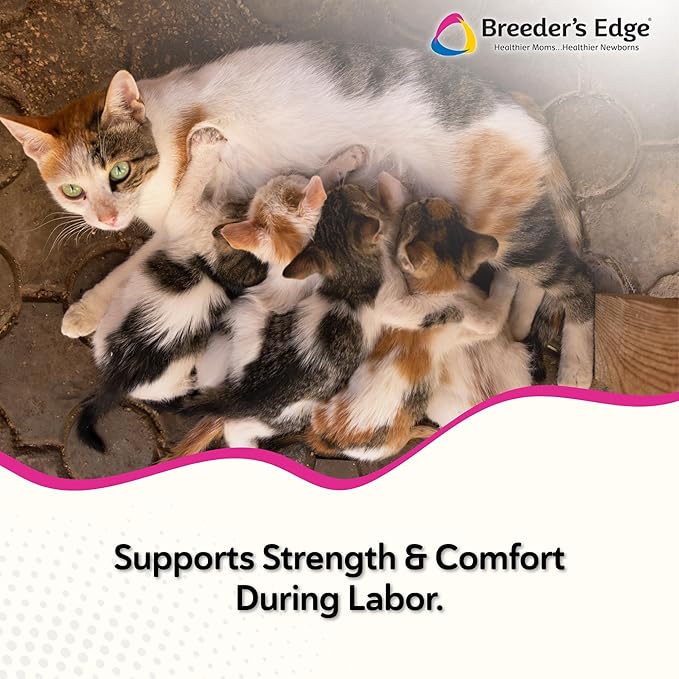 Breeder's Edge Oral Cal Plus Gel, Whelping and Queening Calcium Supplement Gel for Dogs and Cats Delivers 3 Calcium Sources in Labor to Support Strong and Normal Contractions, 15ml Paste