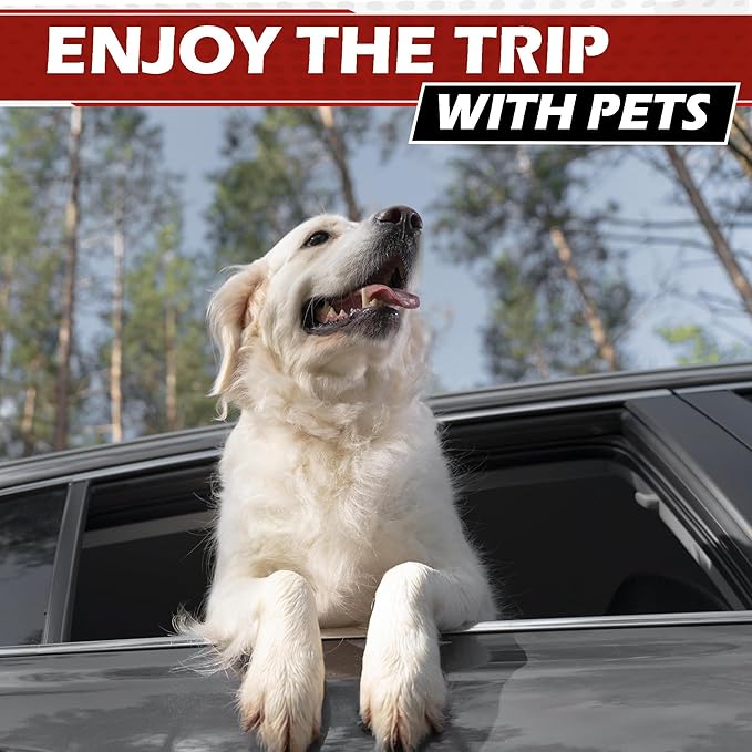 Universal Dog Car Net Barrier – Sturdy Mesh, Easy Install, Breathable Design, Easy to Clean, Flexible Bungee Cords for Adjustable Fit 23"×23" (Red)