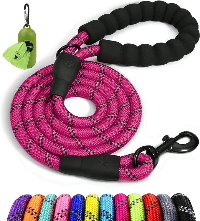 Taglory Rope Dog Leash 4 FT with Comfortable Padded Handle, Highly Reflective Threads Leash for Small Dogs, 3/8 inch, Hotpink