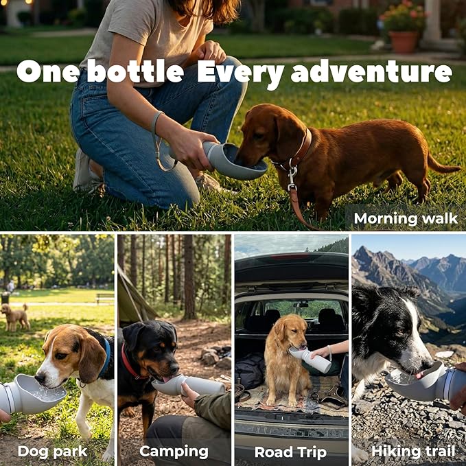 Collapsible Water Bottle for Dogs, Foldable Leak-Resistant w/Drain-Back, Pet Travel Bowl, 19oz for Walks, Hiking & Road Trips