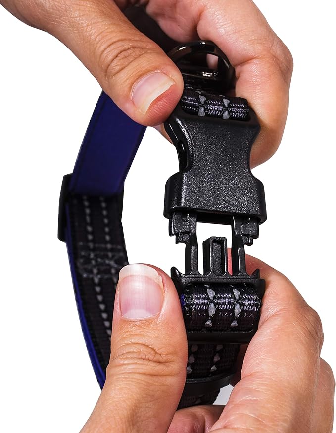 Franklin Pet Supply Co. - Nylon Dog Collar - Reflective Comfort - Fit - Neoprene - Adjustable- Small- Medium - Large - Puppy - Dog - Cat- Easy Clip