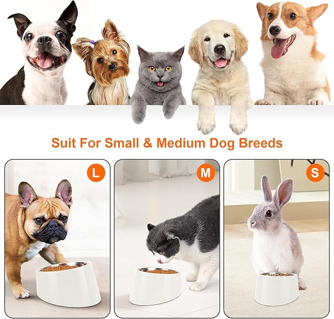 Tilted Dog Bowl Non-Slip & Non-Spill Pet Feeder with Elevated Detachable Melamine Stand, Easy to Get Food Dog Dish, S/100ml White