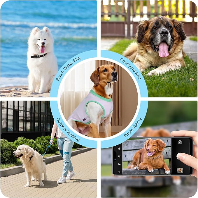 2 Pack Dog Summer Clothes Color Blocking Dog Shirts for Medium/Large Dogs Stretchable Doggy Cooling Vest Breathable Sun Protection Shirt Fashion & Bright Color for Boys Girls