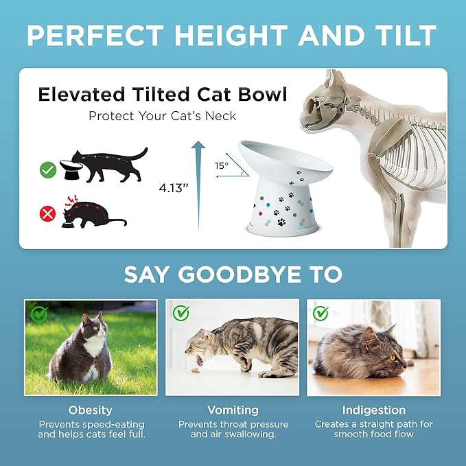 Necoichi Raised Cat Food Bowl – Ceramic Elevated 15° Tilted Cat Bowl for Whisker & Neck Fatigue, Dishwasher Microwave Safe – Non-Slip & Anti Vomiting Ergonomic Design (Colorful Dots, Regular Tilted)