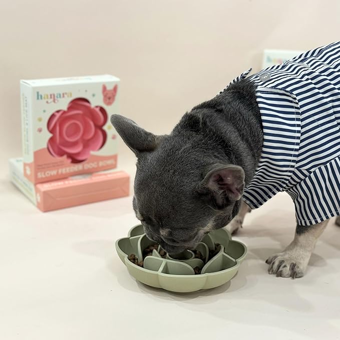 Hanara Sillicone Slow Feeder Dog Bowls & Lick Mat with Suction Bottom | Rose Petals Design | Promotes Better Digestion, Prevent Choking | Dish Washer Safe | Great Size for All Breed (Sage Green)