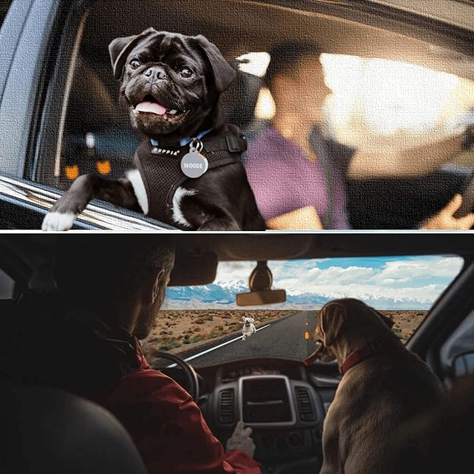 Dog Car Seat Cover for Front Seat, Scratchproof Car Seat Cover for Dogs, 100% Waterproof,with Dog Harness, Anti-Slip, Wear Resistance Fit for Cars, Trucks, SUVs, Jeeps. (Color : Black)