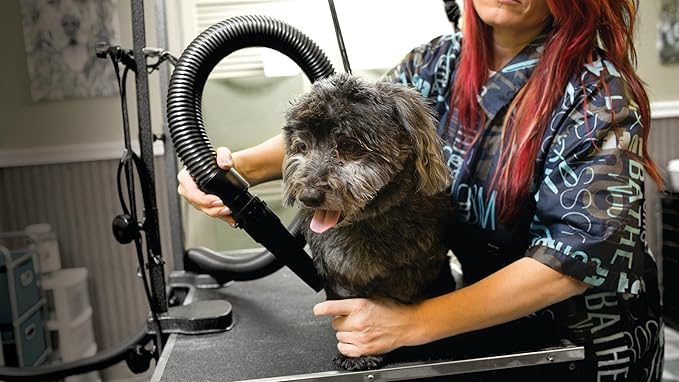 METROVAC AFTD-3V Air Force Commander Variable Speed Pet Grooming Dryer Pink | High Velocity Dog Hair Blower 4.0 HP USA