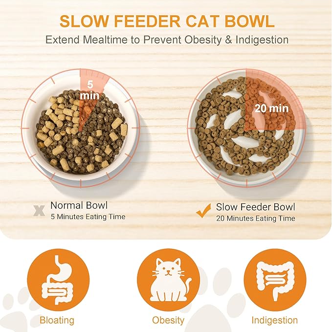 Non-Slip Rubberwood Elevated Cat Feeder Stand - 6.1"x3.5" Detachable Bowl Holder, Ergonomic Anti-Vomiting Raised Pet Dish Stand (Green(Ceramic)-Bamboo Stand)
